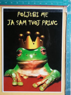 KOV 506-35 - Frog, GRENOUILLE - Autres & Non Classés
