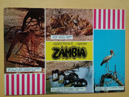 KOV 506-32 - GIRAFFE, LION, LEON, MARIBOU, WILDEBEEST, ZAMBIA - Sonstige & Ohne Zuordnung