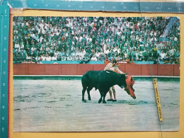 KOV 506-31 - BULL, TAUREAU, CORRIDA - Stiere