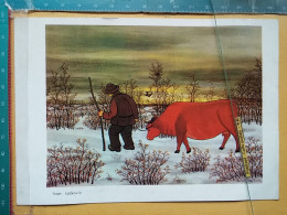 KOV 506-31 - COW, VACHE , PAINTING LACKOVIC - Mucche