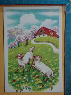 KOV 506-30 - SHEEP, MOUTON - Sonstige & Ohne Zuordnung