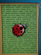 KOV 506-30 - LADYBUG, COCCINELLE - Other & Unclassified