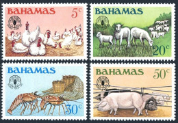 Bahamas 500-503, MNH. Mi 490-493. FAO,Food 1981. Chickens, Sheep, Lobster, Pigs. - Bahama's (1973-...)