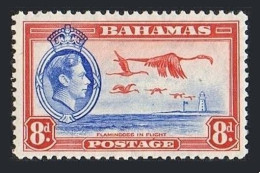 Bahamas 108, MNH. Michel 115. King George VI, 1938.F Lamingos In Flight. - Bahamas (1973-...)