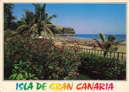 ESPAGNE - Isla De Gran Canaria - Vue Sur La Plage - Colorisé - Carte Postale - Gran Canaria
