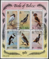 Belize 500, CTO. Mi 493-498 Bl.18. Birds. Jabiru, Barred Antshrike, Flycatcher, - Belice (1973-...)