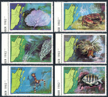 Belize 646-651, MNH. Mi 654-659. Marine Life 1982. Fish, Coral, Seaweed. Map. - Belice (1973-...)
