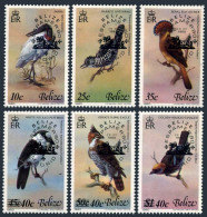 Belize 502a-502f,502 Sheet,MNH.Michel 512-517,Bl.22. ESPAMER-1980.Birds. - Belize (1973-...)