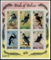 Belize 502 Af Sheet,MNH.Michel 512-517 Bl.22. Birds,ESPAMER-1980. - Belize (1973-...)