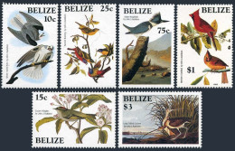 Belize 750-756,MNH.Michel 784-789,Bl.67. Audubon Birds 1985.Kite,Kinglet,Curlew, - Belice (1973-...)