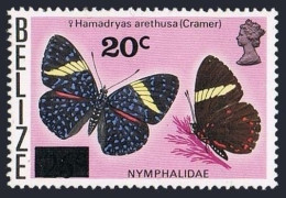 Belize 380, MNH. Mi 369. Butterfly Hamadryas Arethusa - Cramer. New Value 1977. - Belice (1973-...)