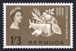 Bermuda 192, MNH. Michel 181. FAO. Freedom From Hunger, 1963. - Bermudas