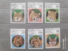 1996	Sahara	Cats (F97) - Altri - Africa