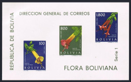 Bolivia C239a Sheet, MNH. Michel Bl.15. Flowers 1962. Orchid. - Bolivie