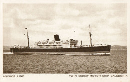 S.S. Caledonia- Anchor Line- Twin Screw Motor Ship Built 1905 (converted To Troop Ship 1914, Sunk By Uboat 1916) - Steamers