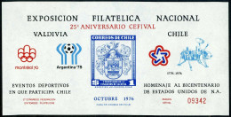 Chile 267a Var,MNH. Michel 466 Note. VALDIVIA-1976.US-200,Olympics,Soccer,Space. - Chili