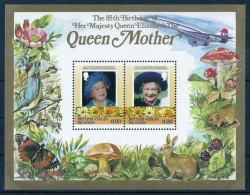 ILES VIERGES - REINE MERE ELISABETH - BF 26 ET 27 - NEUF** MNH - Royalties, Royals