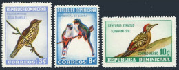 Dominican Rep 596-597, C134, MNH. Birds 1964. Chat, Parrot, Woodpecker. - Dominica (1978-...)