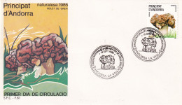 FDC 1985 ANDORRA ESPAÑOLA - Mushrooms