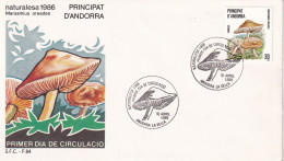FDC 1986  ANDORRA ESPAÑOLA - Mushrooms