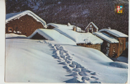 Chamonix 74  Carte Circulée  Couleurs Et Lumiere Des Alpes -Neige_Robe D'Innocence Et De Pure Couleurs - Chamonix-Mont-Blanc