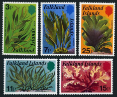 Falkland 282-286, MNH. Michel 279-283. Flora 1979, Kelp. - Falklandinseln