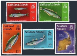 Falkland 334-338, MNH. Mi 336-340. Shelf Fishes, 1981. Herring, Rock Cod, Skate, - Falkland Islands