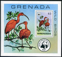 Grenada 856 Sheet, MNH. Michel 888 Bl.70. WWF 1978. Bird Scarlet Ibis. - Grenada (1974-...)