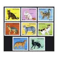 Guyana 2581-2588,2588A Bi Sheet,2589-2592,MNH.Michel 3835-3854,4 Bl. Cats 1992. - Guyane (1966-...)
