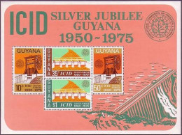 Guyana 217a Sheet,MNH.Michel Bl.3. ICID Silver Jubilee 1975.Dam. - Guyane (1966-...)