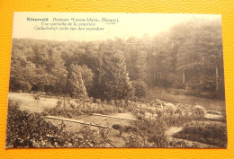 NITTERVELD - RONSE - Bronnen " Louise-Marie " , Gedeeltelijkzicht Van Den Eigendom - Renaix - Ronse