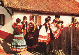 HONGRIE - Traditional Costume Of Mezokovesd - Animé - Carte Postale - Hongarije