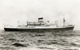 Ellerman Lines- London To South Africa Liner- CITY OF YORK 1953 (renamed Mediterranean Sky 1971)-info On Reverse - Paquebots