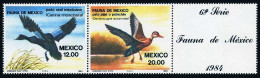 Mexico 1346-1347 Strip/label,MNH.Michel 1893-1894. Aquatic Birds 1984.Cairina - Mexico