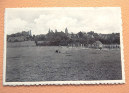 LOUISE-MARIE - MARKEDAL -  Panorama - Maarkedal