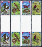 Montserrat 672-675 Gutter, MNH. Michel 701-704. Easter 1988. Marine Birds. - Montserrat