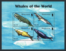 Montserrat 1198 Ad Sheet, MNH. Whales 2008.Sperm,Minke,Cuvier's Beaked,Hampback. - Montserrat