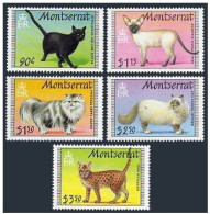 Montserrat 784-788, MNH. Mi 817-821. Cats 1991. Black British Shorthair, Siamese - Montserrat