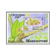 Montserrat 662,MNH.Michel 691 Bl.46. Christmas-1987.Orchid Orchidum Lanceanum. - Montserrat