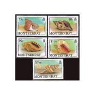 Montserrat 687-689,692,695,MNH.Michel 716-718,721,724. Sea Shells,1988.Turban, - Montserrat
