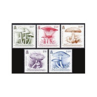 Montserrat 771-775, MNH. Michel 804-808. Mushrooms 1991. - Montserrat