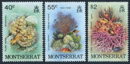 Montserrat 432-434, MNH. Mi 410-412. Plume Worm, Sea Fans, Coral Sponges, 1980. - Montserrat