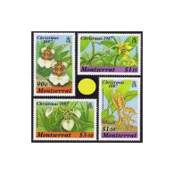 Montserrat 658-661,662, MNH. Michel 687-690, 691 Bl.46. Christmas 1987. Orchids. - Montserrat