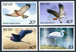 Nevis 403-406, MNH. Michel 248-251. Birds 1985. Hawks, Herons. - St.Kitts Y Nevis ( 1983-...)