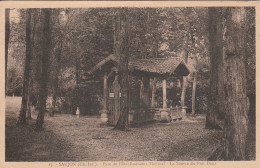 SAUJON PARC DE L'ETABLISSEMENT THERMAL LA SOURCE DU PUIT DOUX TBE - Saujon