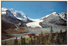 ATHABASCA GLACIER, JASPER NATIONAL PARK, CANADA - Jasper