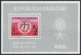 Paraguay 683a Perf,imperf,MNH.Michel Bl.23-24. WHO Drive Against Malaria,1962. - Paraguay