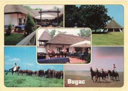 HONGRIE - Bugac Tours - Multi-vues - Animé - Chevaux - Carte Postale - Hongrie