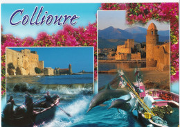 Collioure - Multivues - Collioure