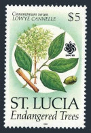 St Lucia 963, MNH. Mi 978. Trees In Danger Of Extinction, 1990. Lowye Cannelle. - St.Lucie (1979-...)